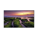 Pantalla Profesional LED de 55", UHD 4K (3840x2160p), Entradas de Video HDMI, Bocinas Integradas de 10 W. Compatible VESA